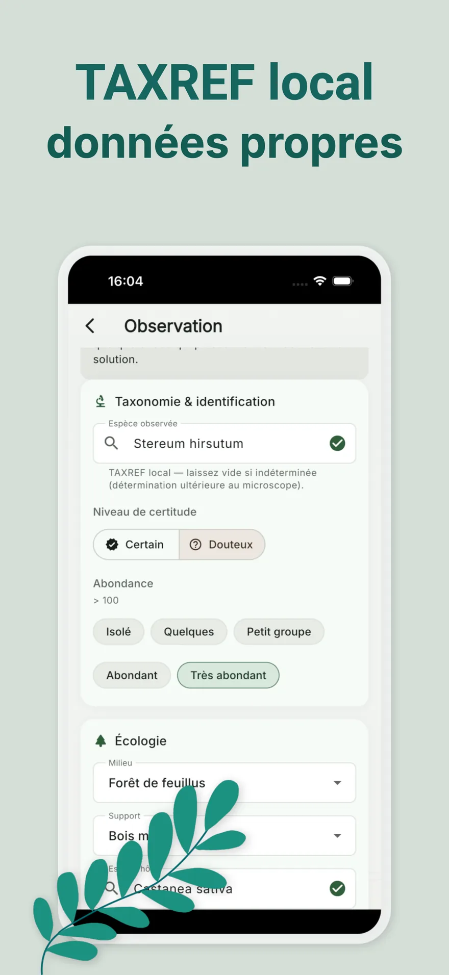 Fiche observation avec espèce TAXREF et écologie
